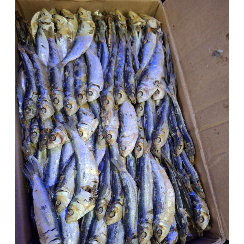 

ikan asin tanjan