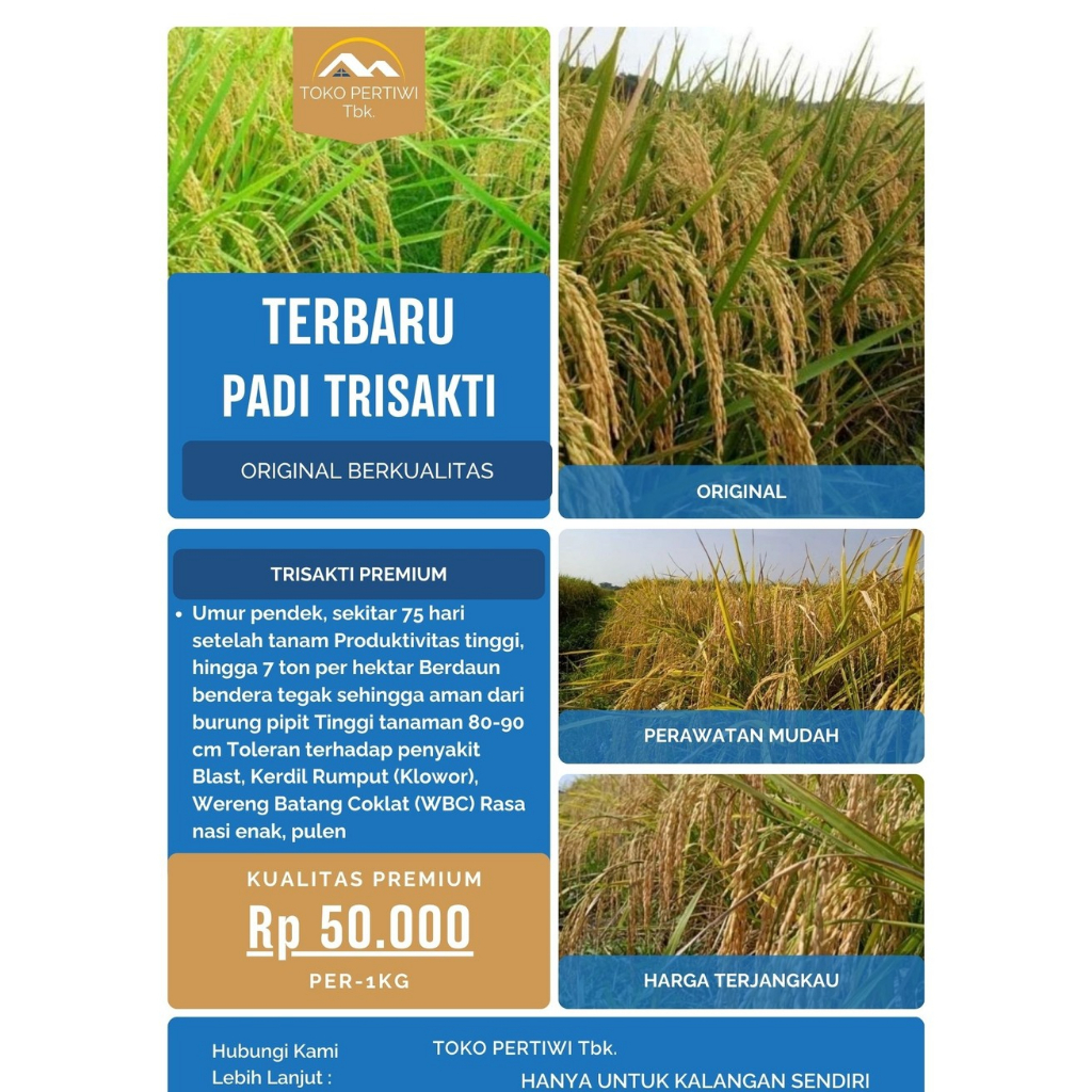Bibit Padi Berkualitas TRISAKTI ORIGINAL