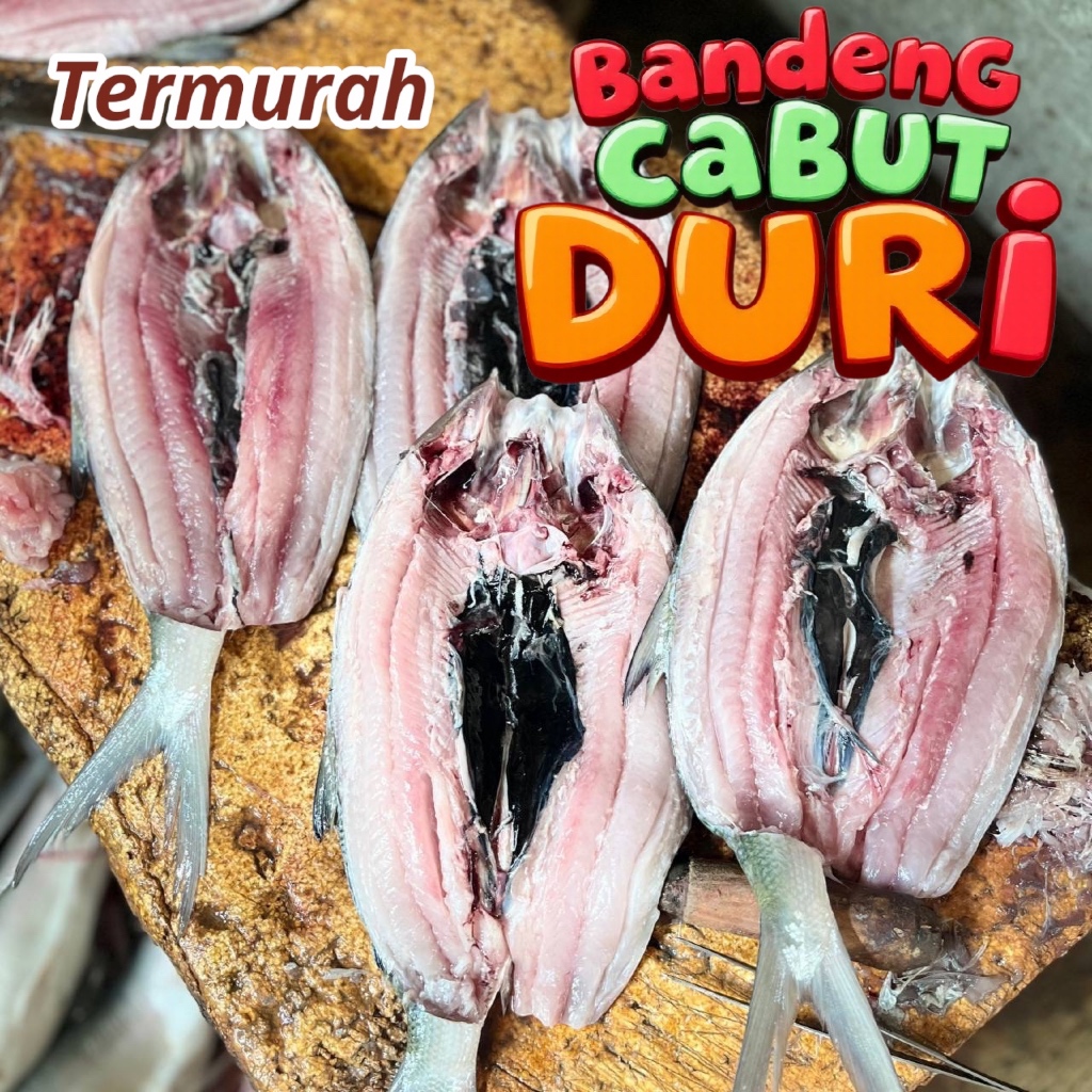 

Bandeng Cabut Duri Termurah - Siap Masak - Kirim Instan Surabaya Sidoarjo Gresik