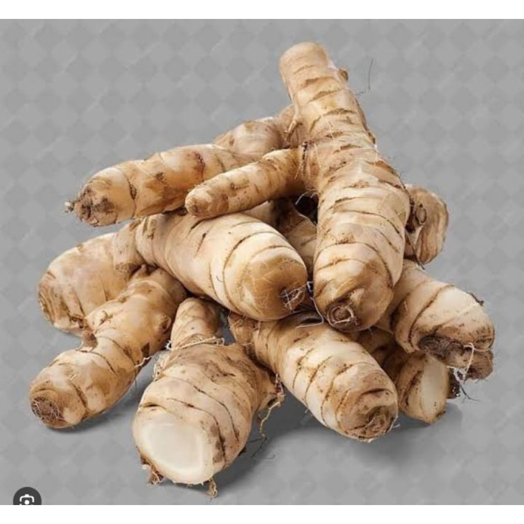 

lengkuas biasa mantep/1 kg