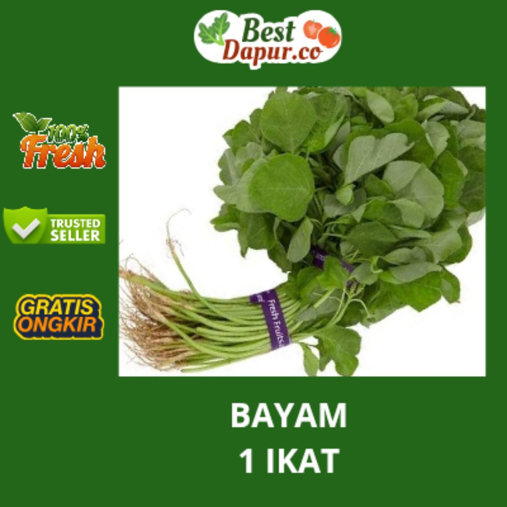 

BAYAM SORTIR --1 IKAT -- Best Dapur .Co