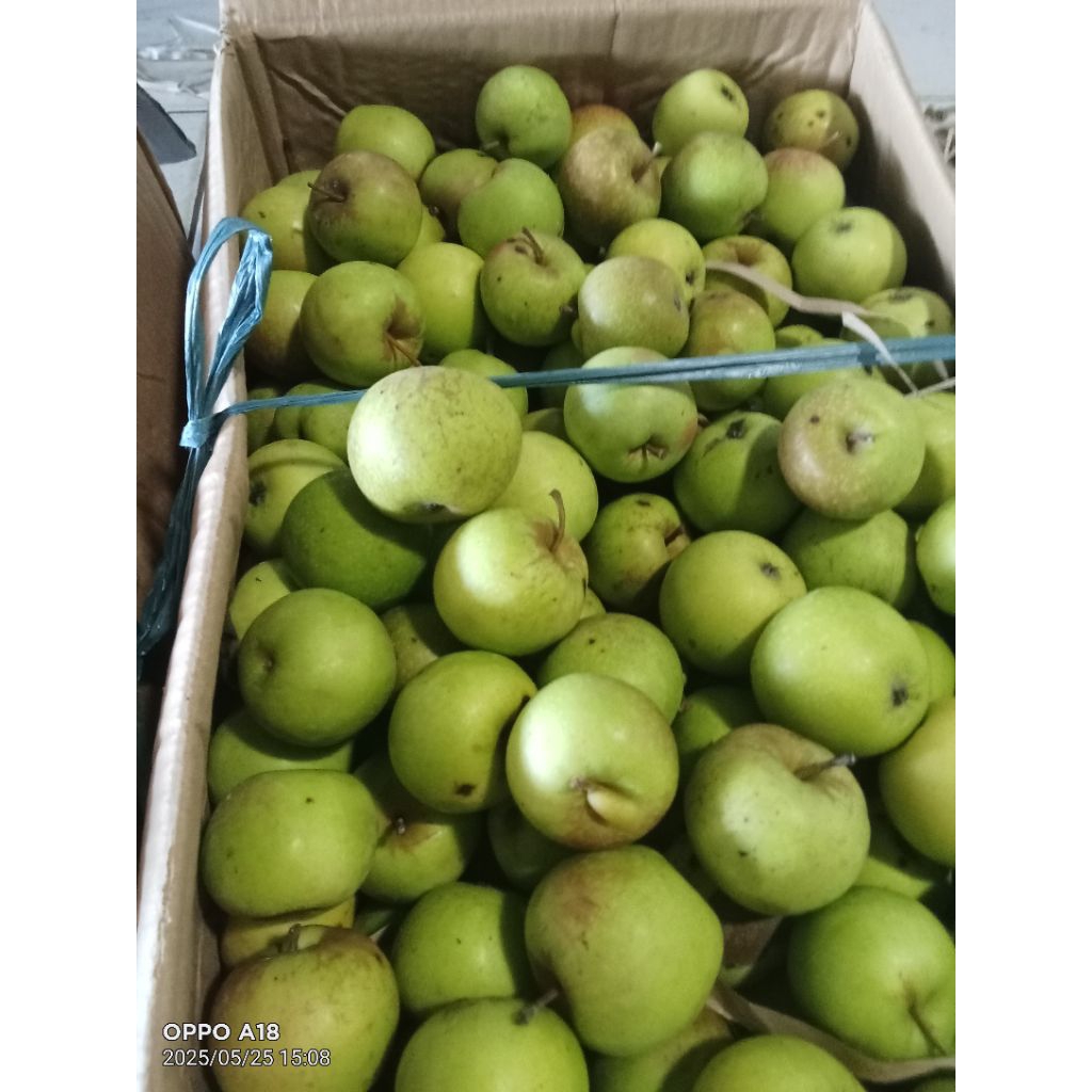 

Buah apel hijau