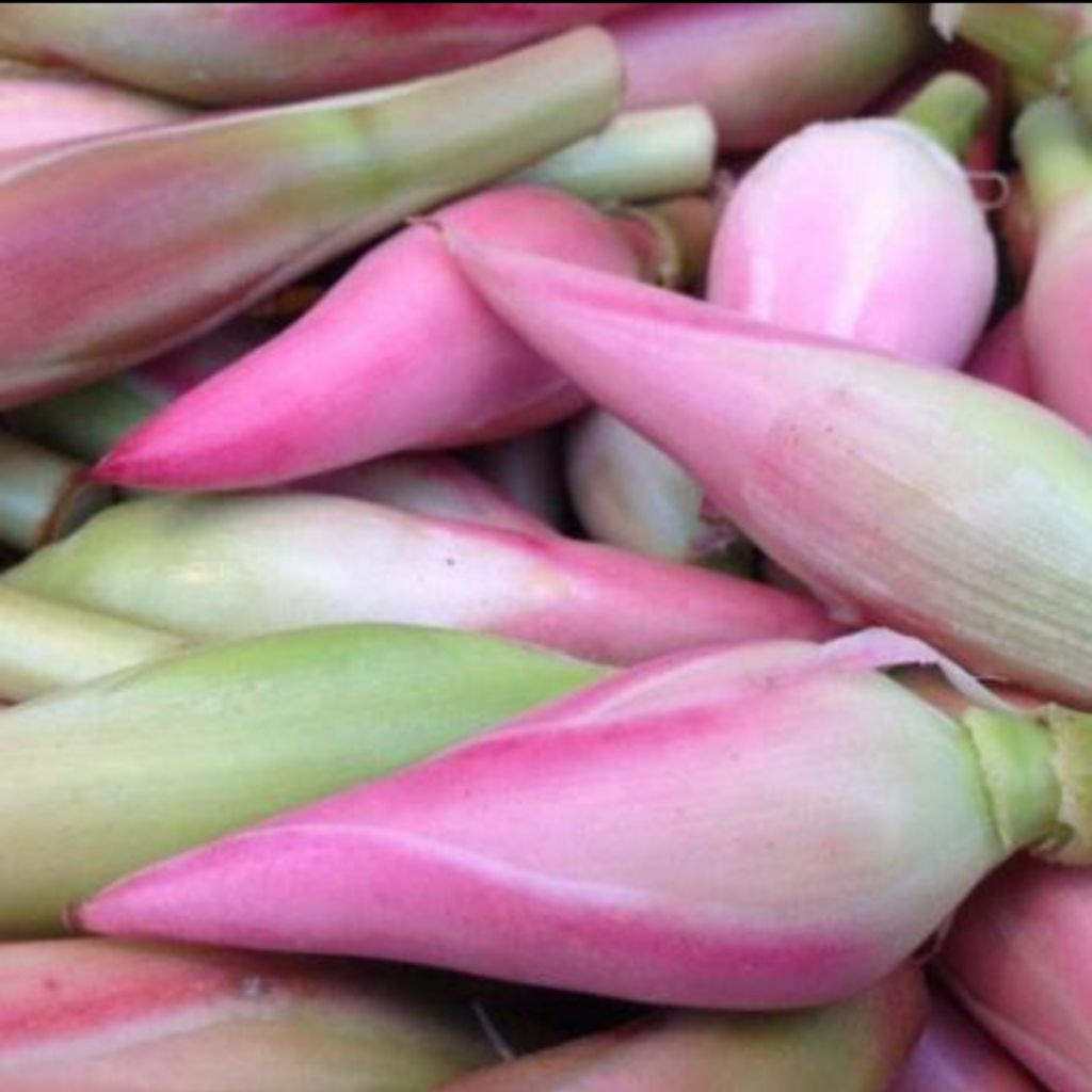 

BUNGA KECOMBRANG 1kg