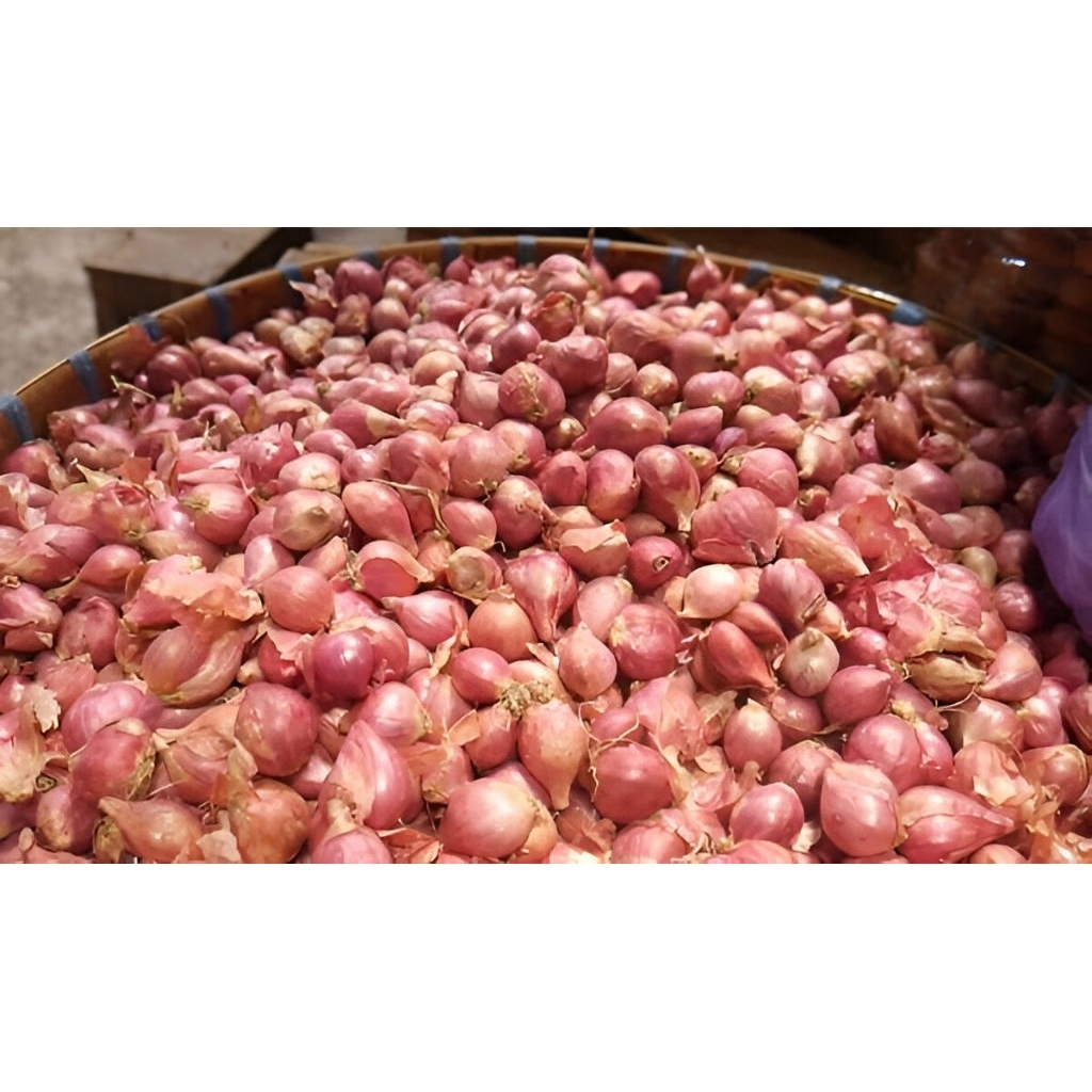 

BAWANG MERAH FRESH 1Kg ukuran kecil