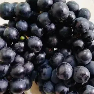 

ANGGUR HITAM 500gram