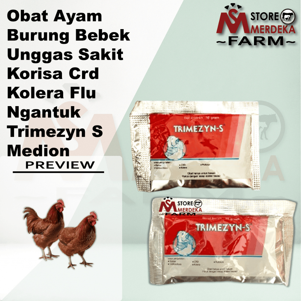 Obat Ayam Burung Bebek Unggas Sakit Korisa Crd Kolera Flu Ngantuk Trimezyn S Medion