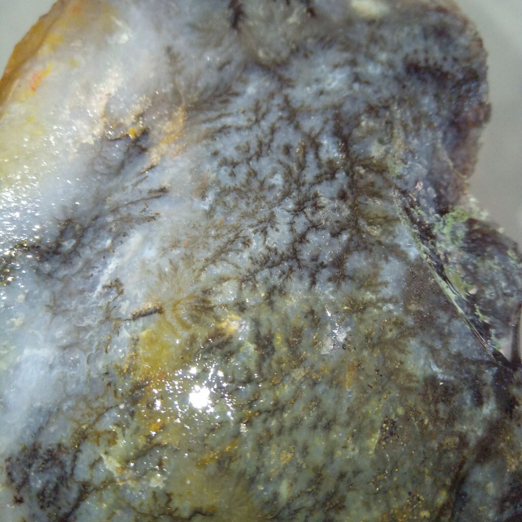 Original Rough Batu Akik Motif Tumbuhan / Tanaman Kristal Unik