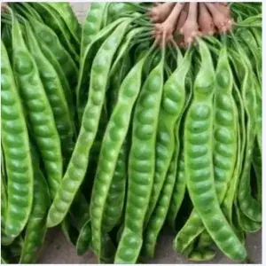 

PAKET PETE 3 PCS Papan