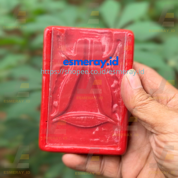 Uterus Model Kotak Merah-Phantom/Manikin/Manekin Alat Peraga Praktek Simulator/Edukasi Pemasangan IU