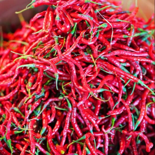 

Cabe Merah Keriting Fresh 1 kg Tahan Lama