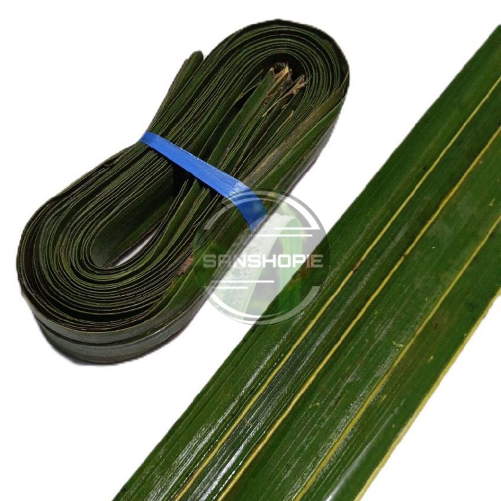 

Daun kelapa hijau - Tanpa Lidi / paket 50 Lembar