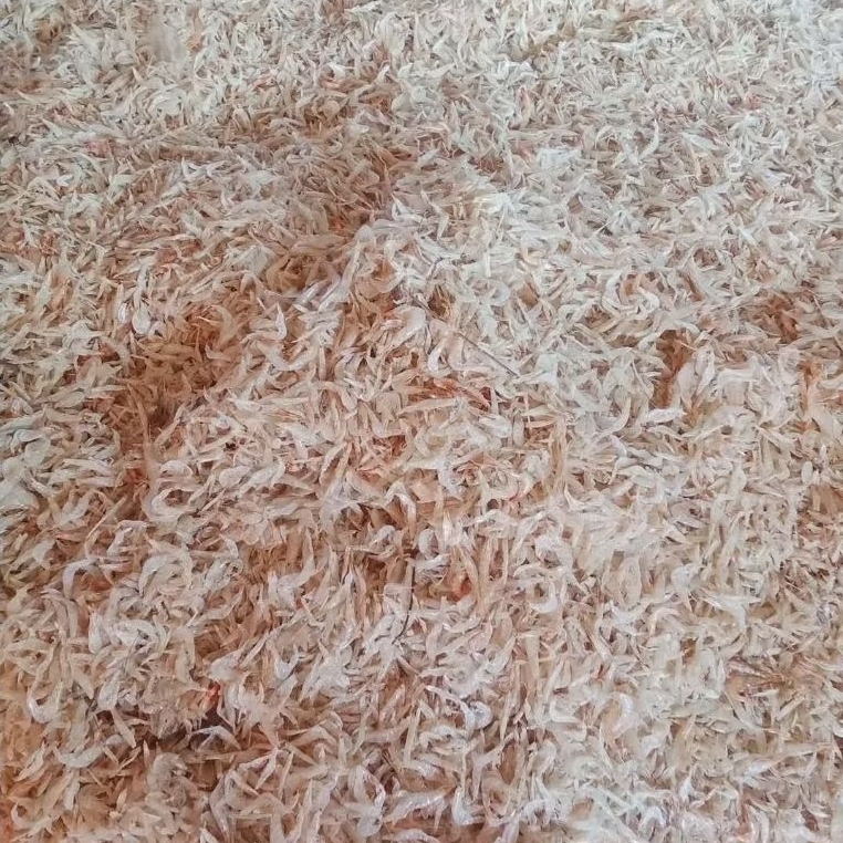 

Udang Rebon Kering Asin – Ikan Asin Udang Gurih & Siap Masak | 100g | 250g / 500g / 1Kg | Tahan Lama & Tidak Terlalu Asin