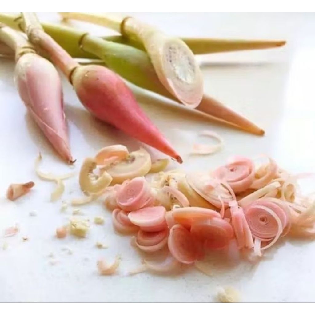 

bunga kecombrang /1pcs