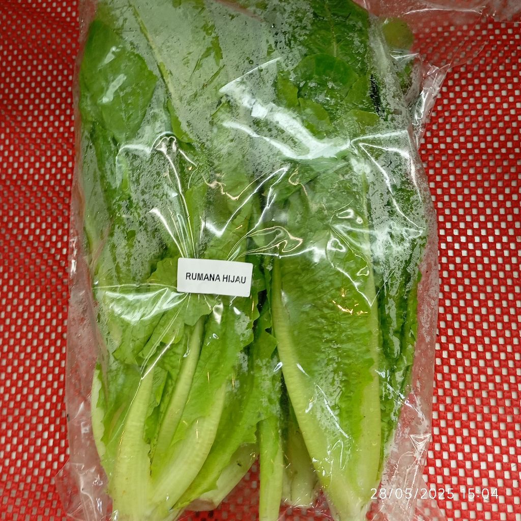 

Romaine Hijau Segar Romana Rumana Fresh 500gr