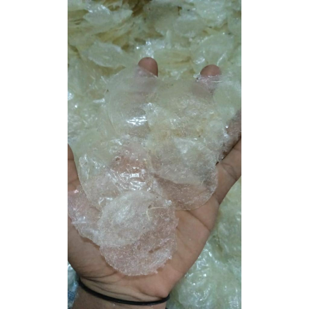 

keripik kaca kirca bulat mentah 1kg