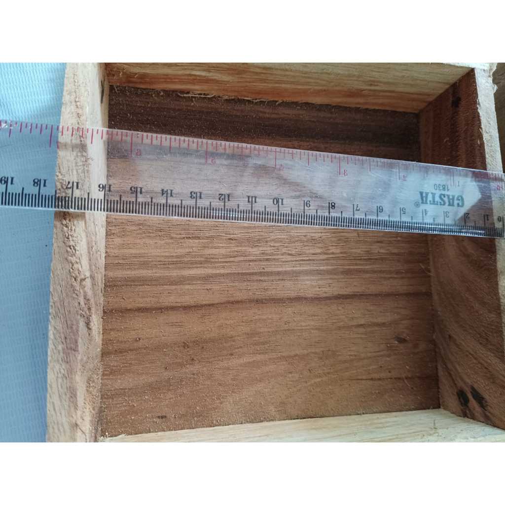 tempat pakan wadah pakan ayam bangkok ayam jawa umbaran ayam