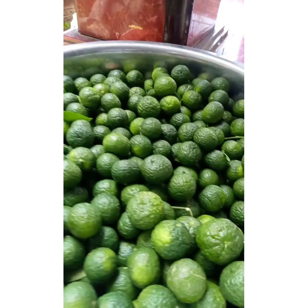 

jeruk limo segar 1kg