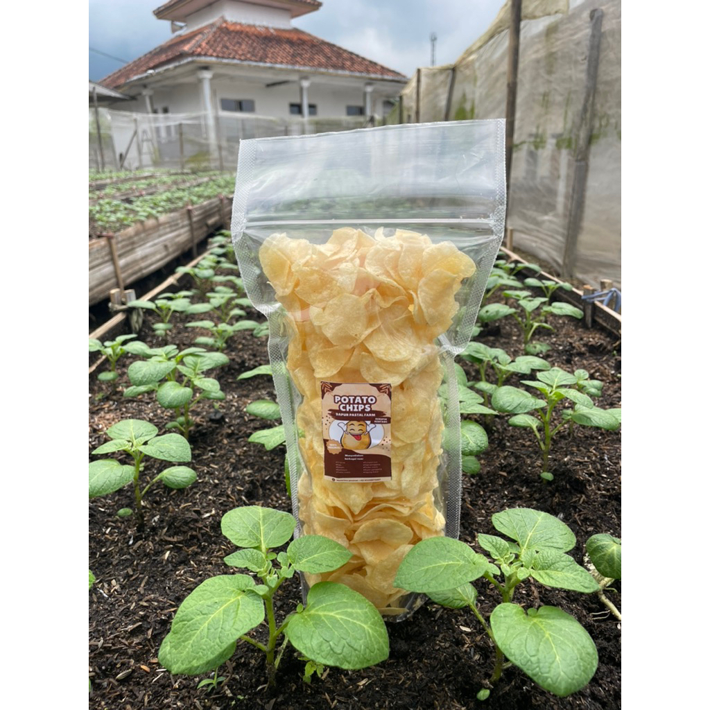 

Keripik kentang Original 200g Super crispy bikin nagih 100% dari kentang segar dan pilihan