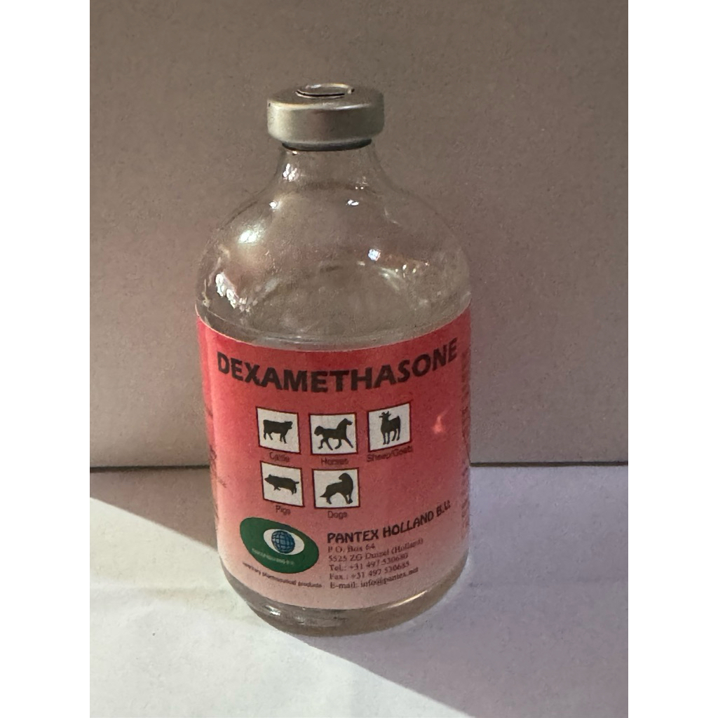 DEXAMETHASONE