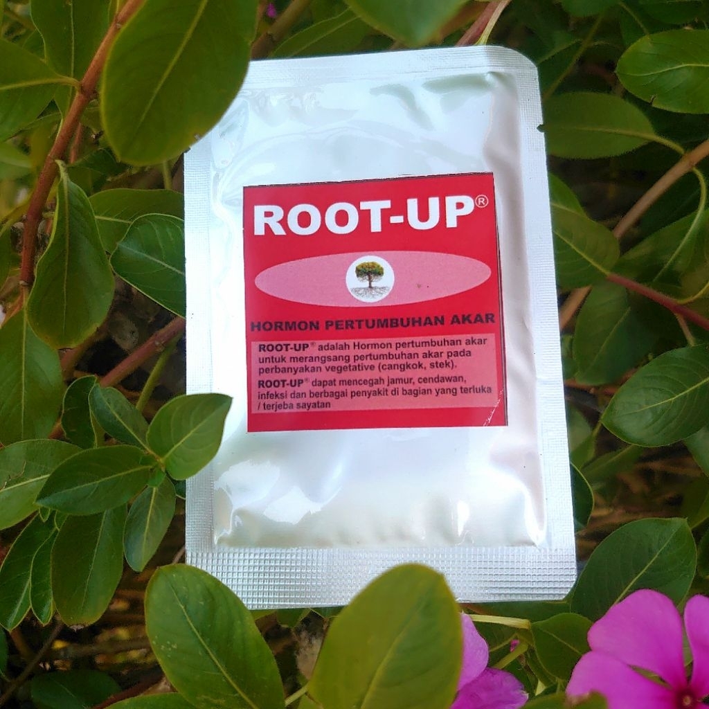 ROOT-UP 20GR PENUMBUH AKAR STEK CENGKOK TANAMAN