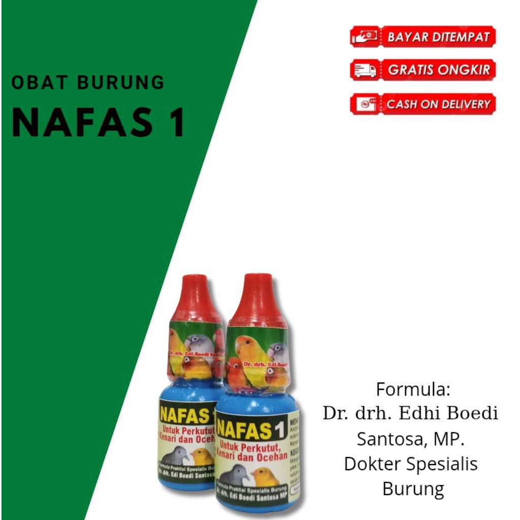 NAFAS 1 DR. EDI OBAT BURUNG SAKIT