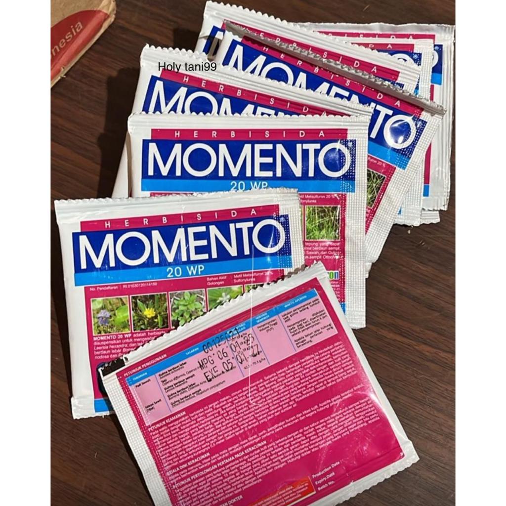 Herbisida MOMENTO 20 WP Bahan Aktif Metil Metsulfuron 20% Golongan Sulfonylurea