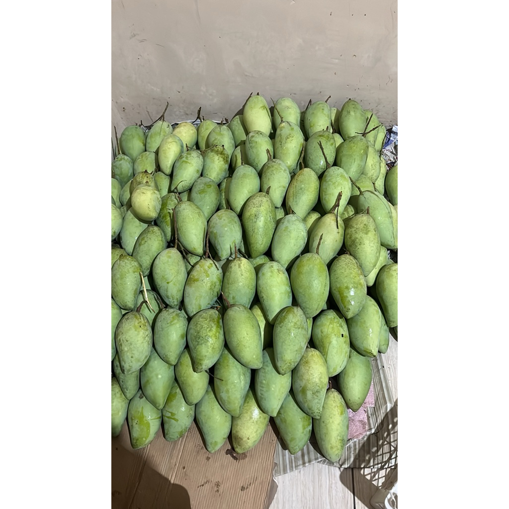 

Mangga Lokmai