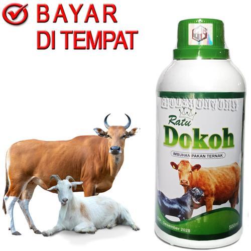 RATU DOKOH Vitamin Sapi Kambing Penggemuk Probiotik Pakan Ternak