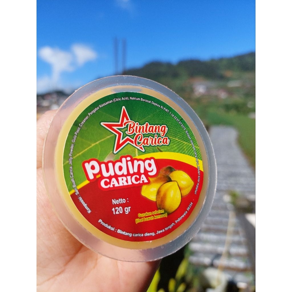 

puding carica varian baru gula asli puding isi buah carica