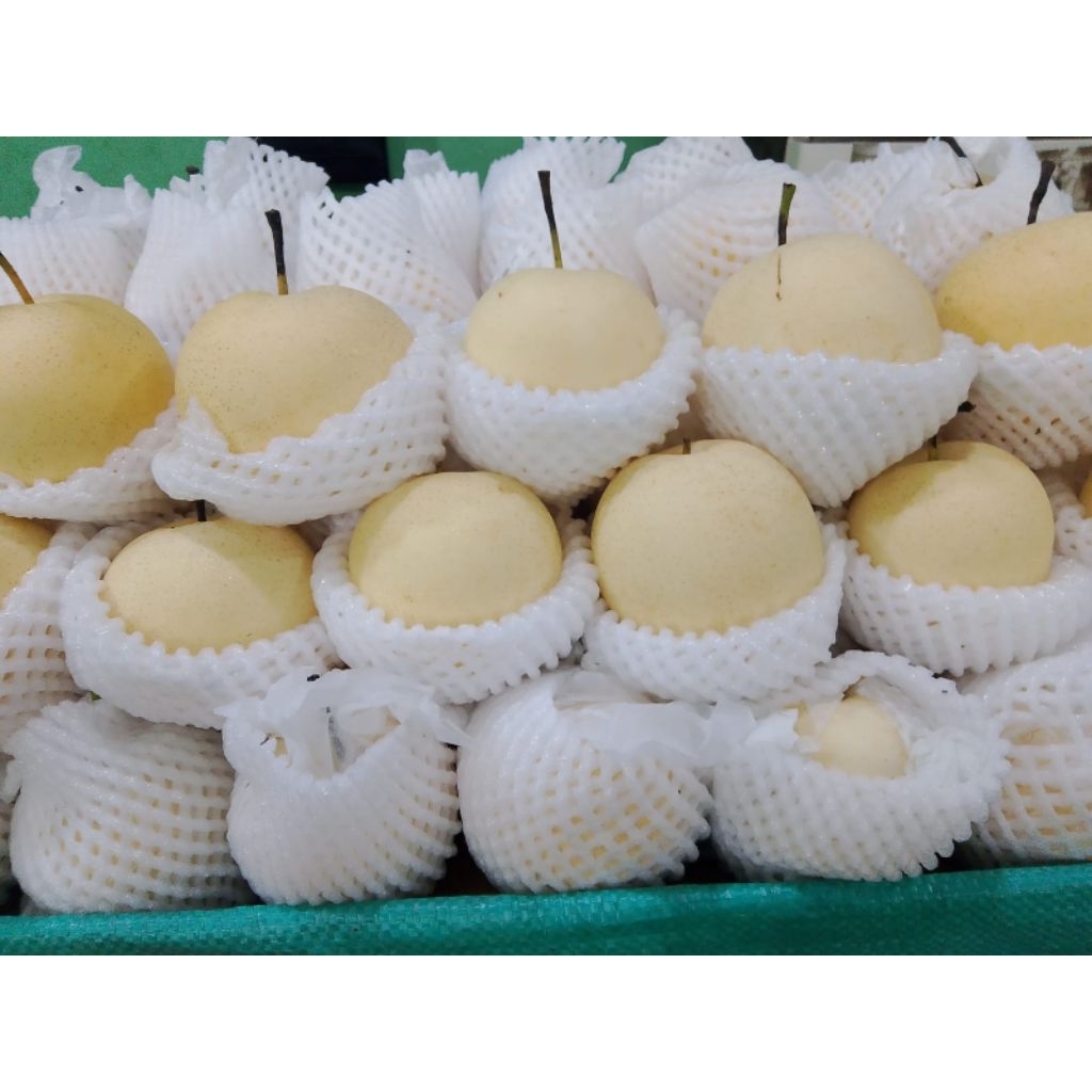 

PEAR SENTURI 1kg ISI 4-5