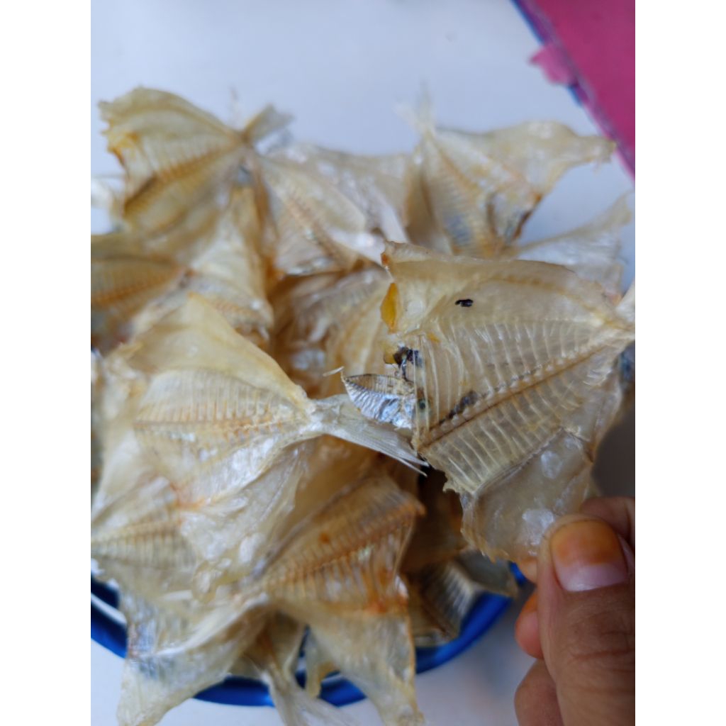 

ikan kapasan tawar 250gram/ikan kapasan belah tipis real picture