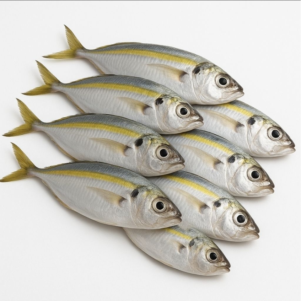 

Ikan Selar Segar 500–1000gr | Siap Masak & Bersih