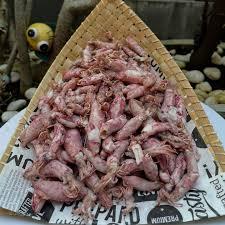 

SEGAR BERSERI - CUMI ASIN 100GR