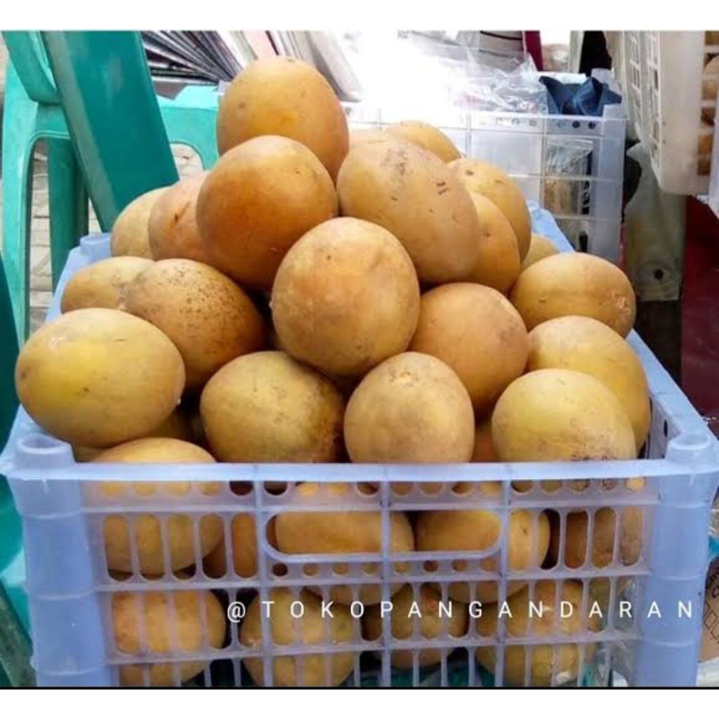 

COD Buah sawo madu Fress/manis 10butir