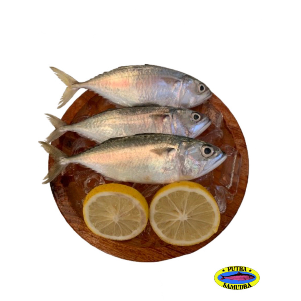 

Ikan Kembung Puket Segar