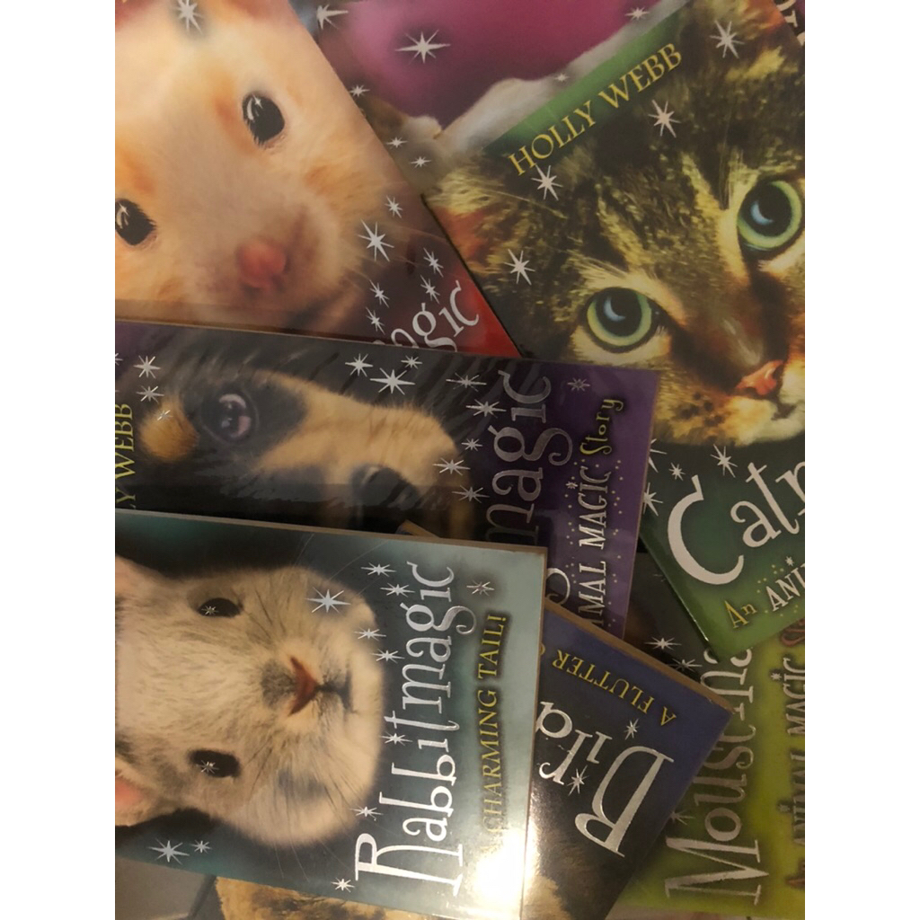 English Novel: An Animal Magic Set