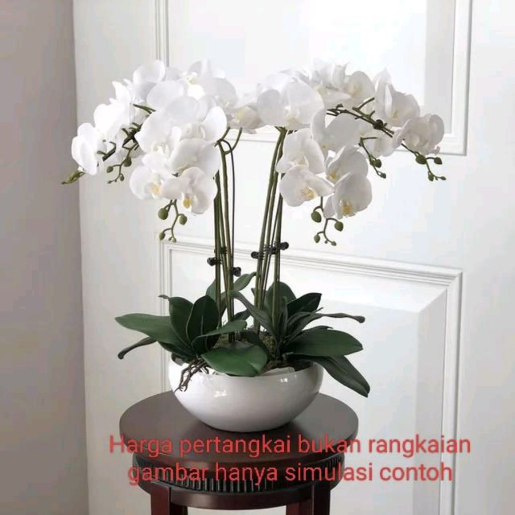 Bunga Anggrek Artificial Latex Import Super Premium Besar Tinggi 100cm-White (1Tangkai)