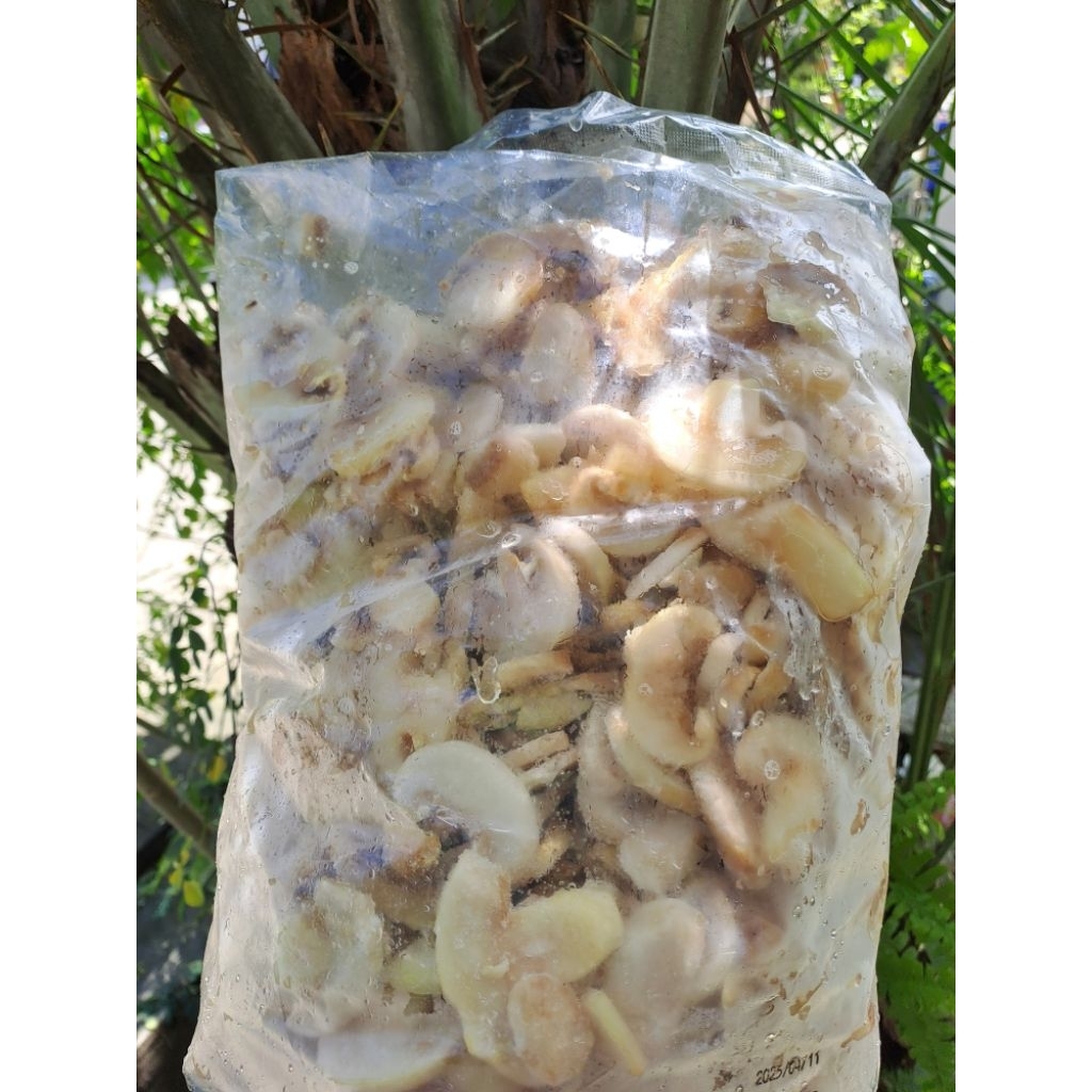 

JAMUR KANCING FROZEN