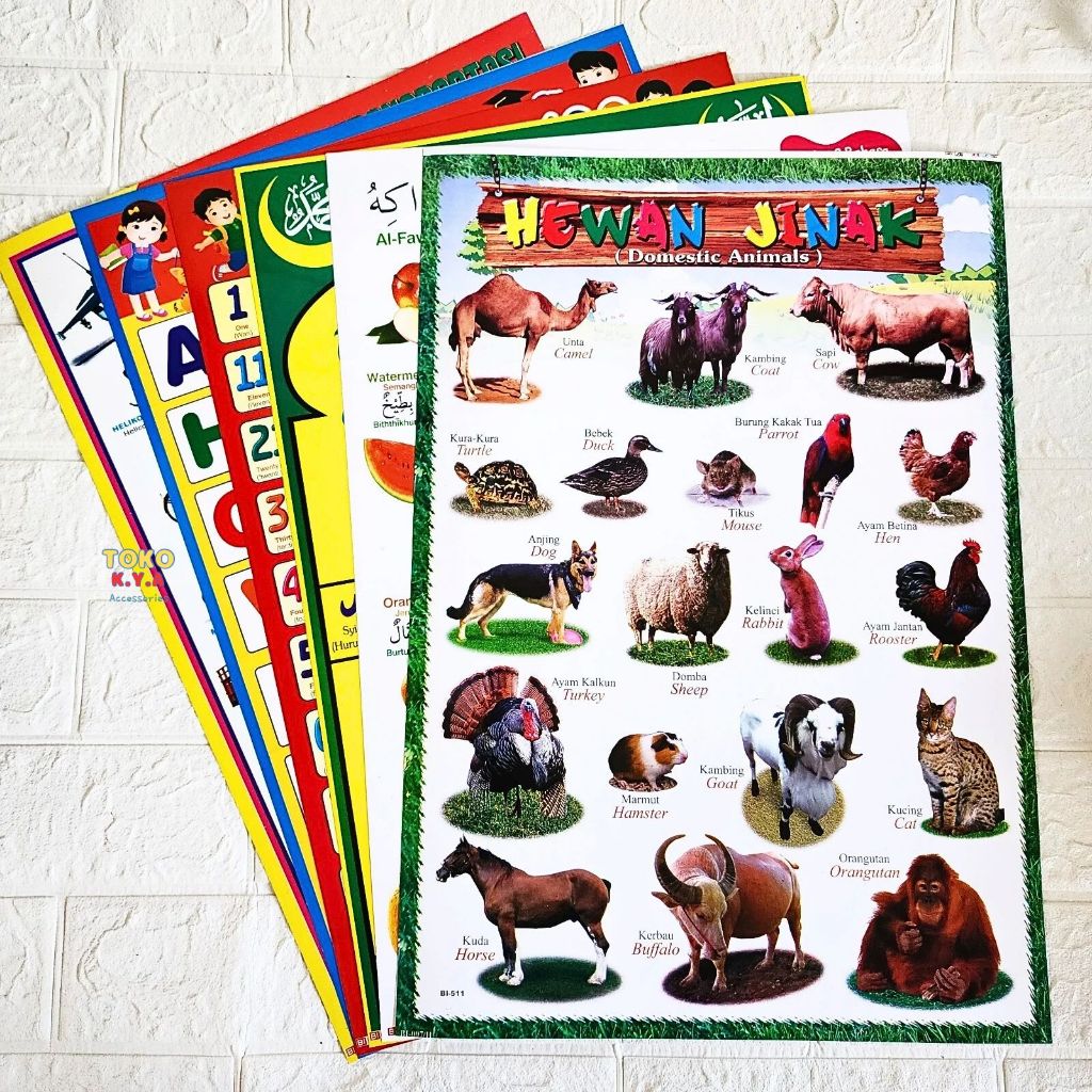 PAKET POSTER EDUKASI 6 LEMBAR/POSTER MURAH/POSTER EDUKASI/POSTER ANAK/POSTER BELAJAR