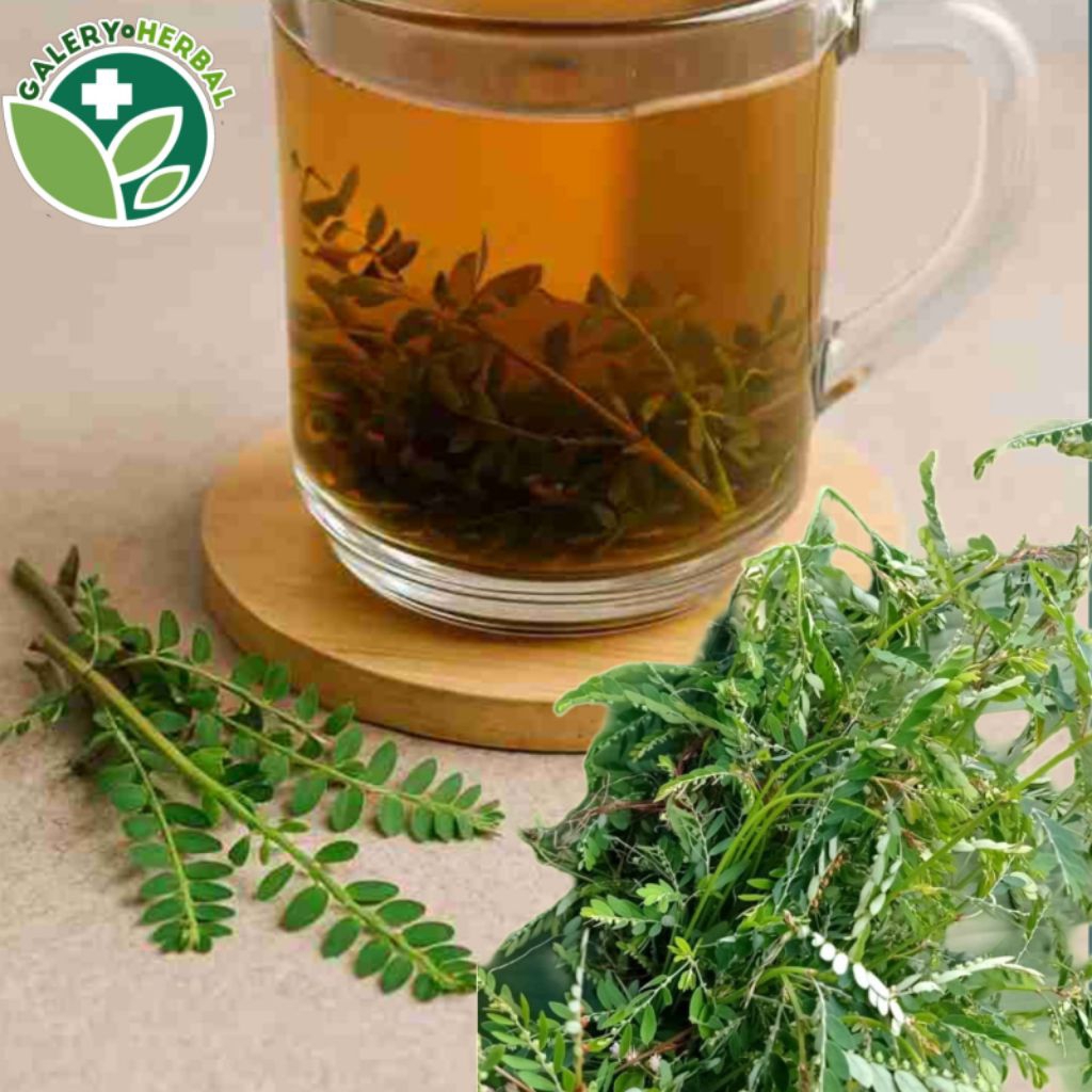 

500 gram Daun Meniran Segar / Daun Meniran Fresh Dikirim Dengan Akarnya