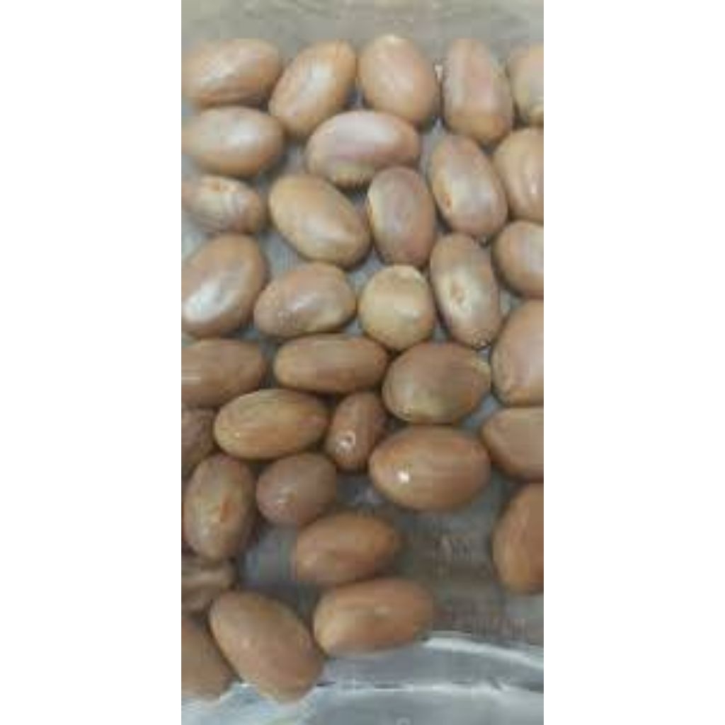 

Biji Nangka Segar Jackfruit Seeds per 100 Gram