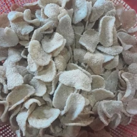 

Kemplang ikan asli palembang