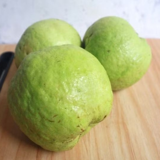 

Jambu kristal Kebumen