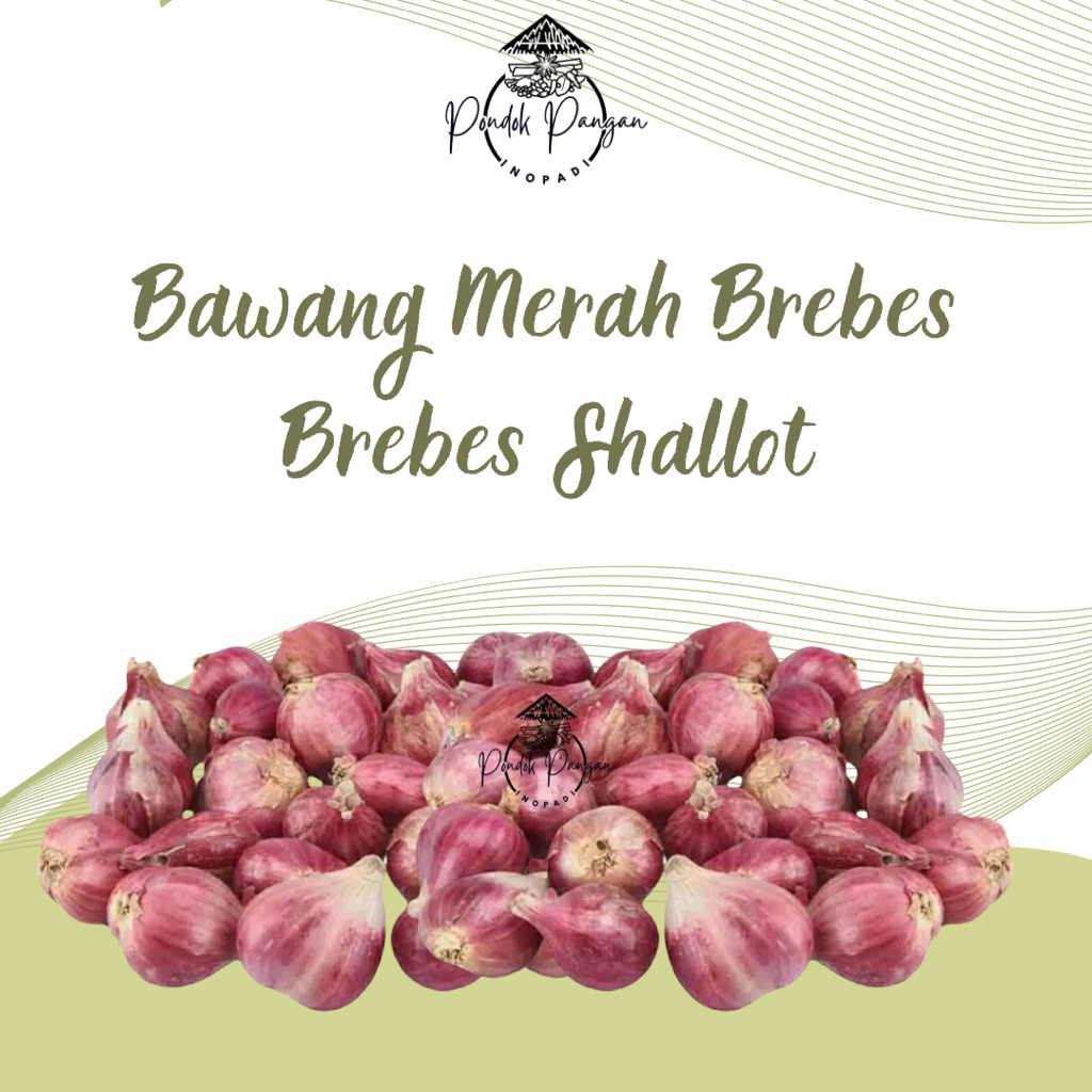 

Bawang Merah Brebes - Brebes Shallot