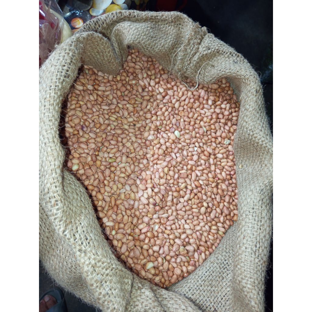 

Kacang Tanah Mentah 1 kg