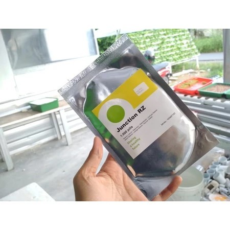 

TERMURAH !!! Benih Selada JONCTION RZ Isi 1000 Pills Batavia Lettuce Rijk Zwaan