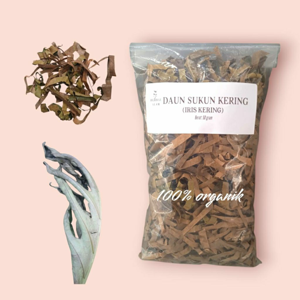 

Daun sukun kering (Artocarpus altilis leaves) 50gram