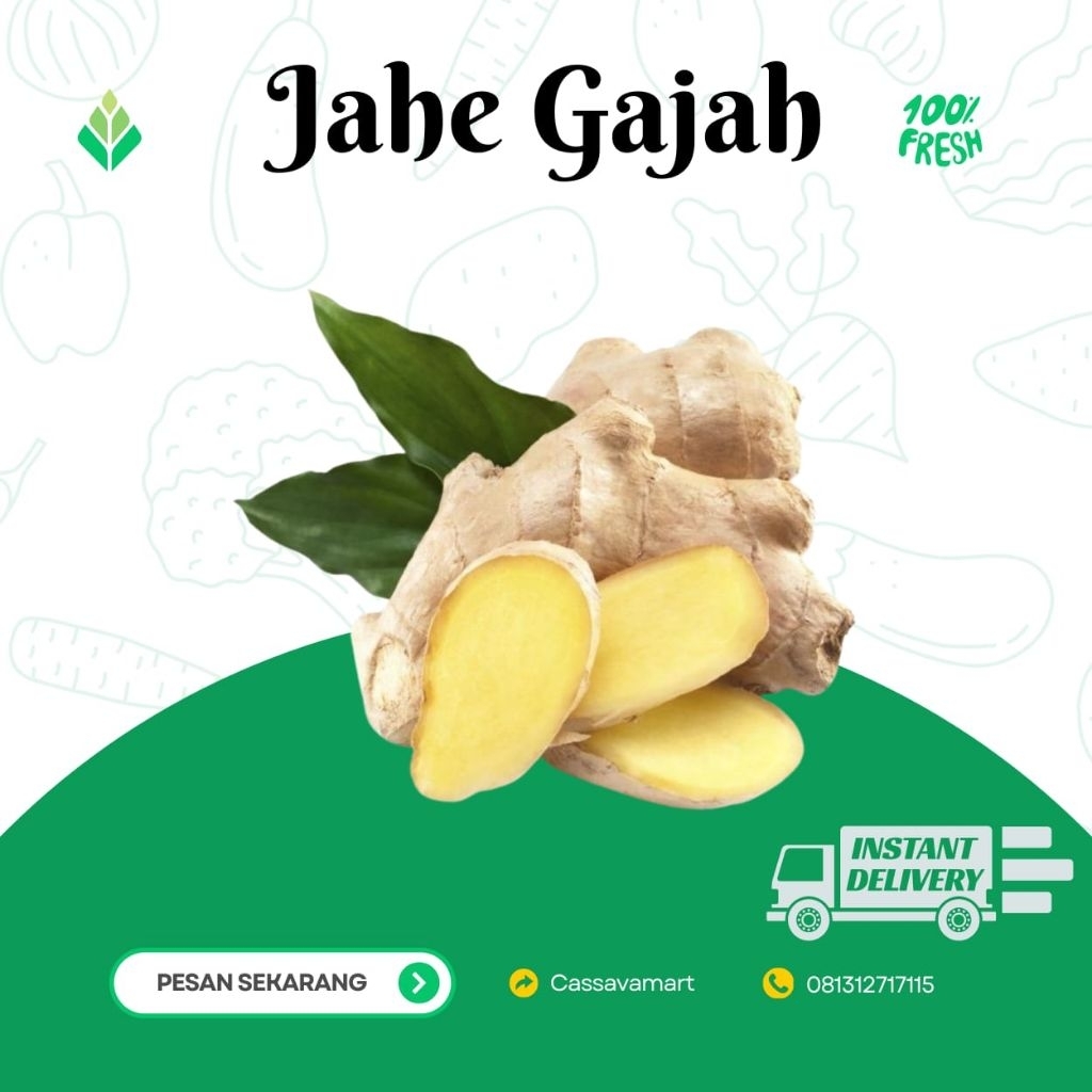 

Jahe Gajah 1 kilogram