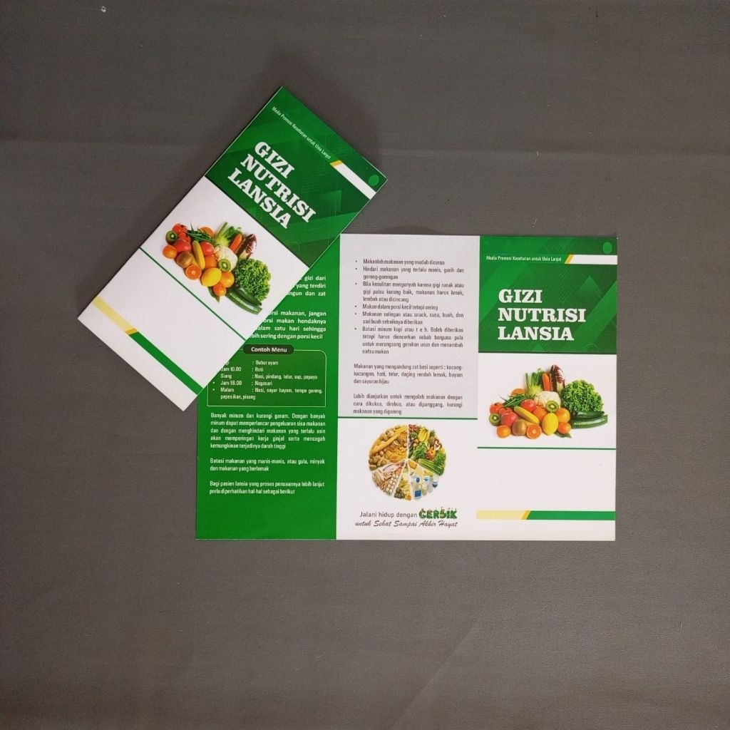 Leaflet Kesehatan , Leaflet Nutrisi Gizi Lansia, Media Promkes , Brosur Murah