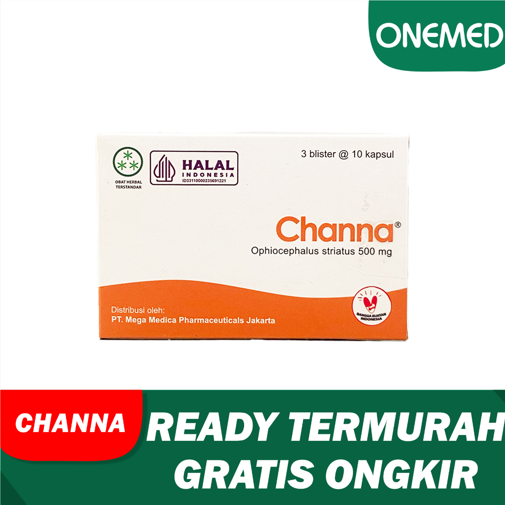 CHANNA STRIATA 500MG EKSTRAK IKAN GABUS 30 KAPSUL TERMURAH
